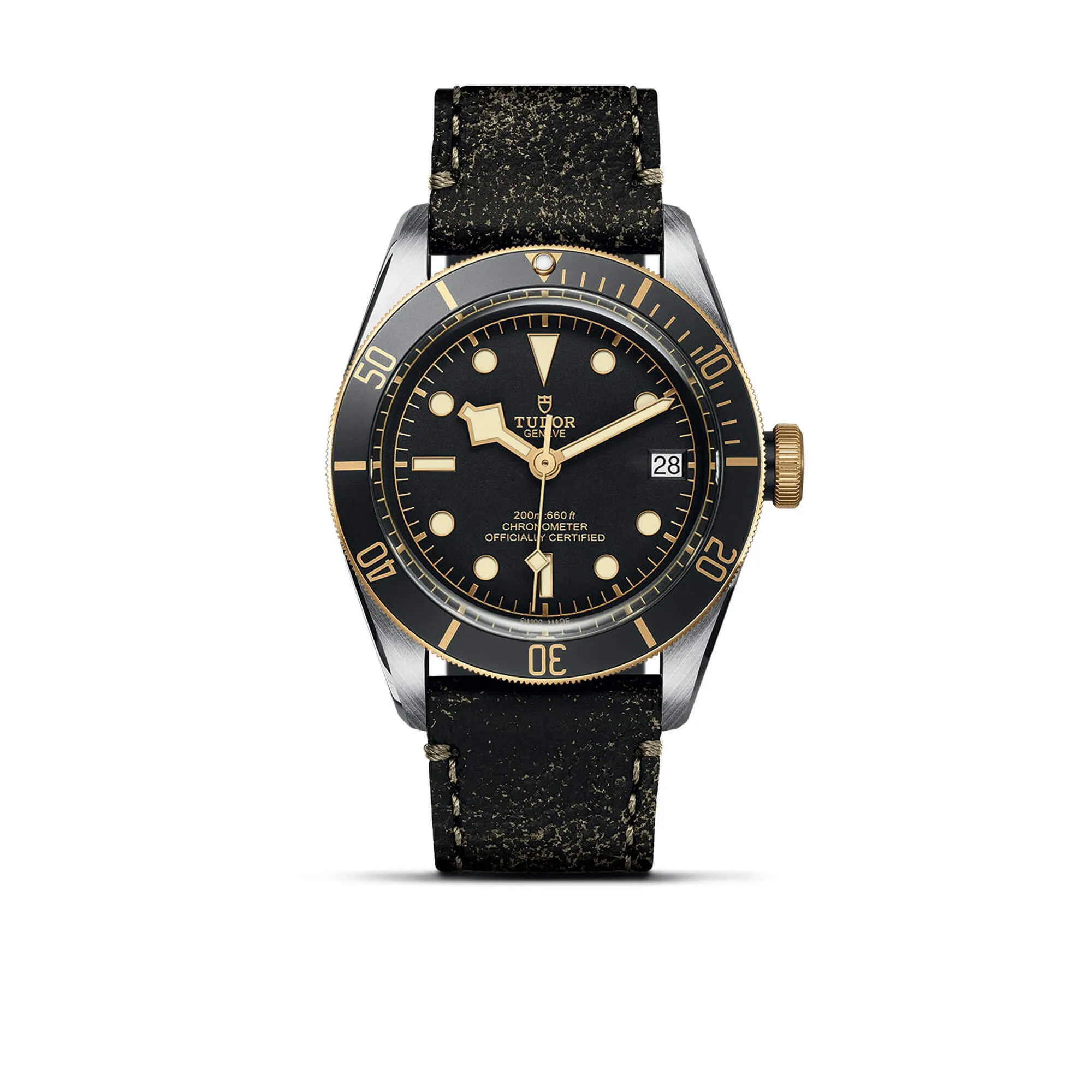 malalan-tudor-black-bay-s-g-watch-M79733N-0007-IMG1