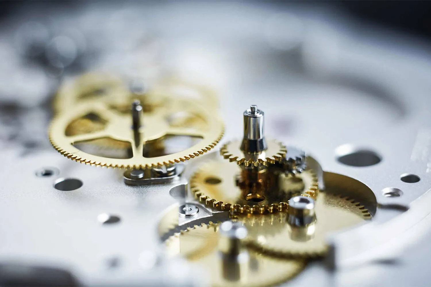 Malalan-Tudor-Watchmaking-Service-2