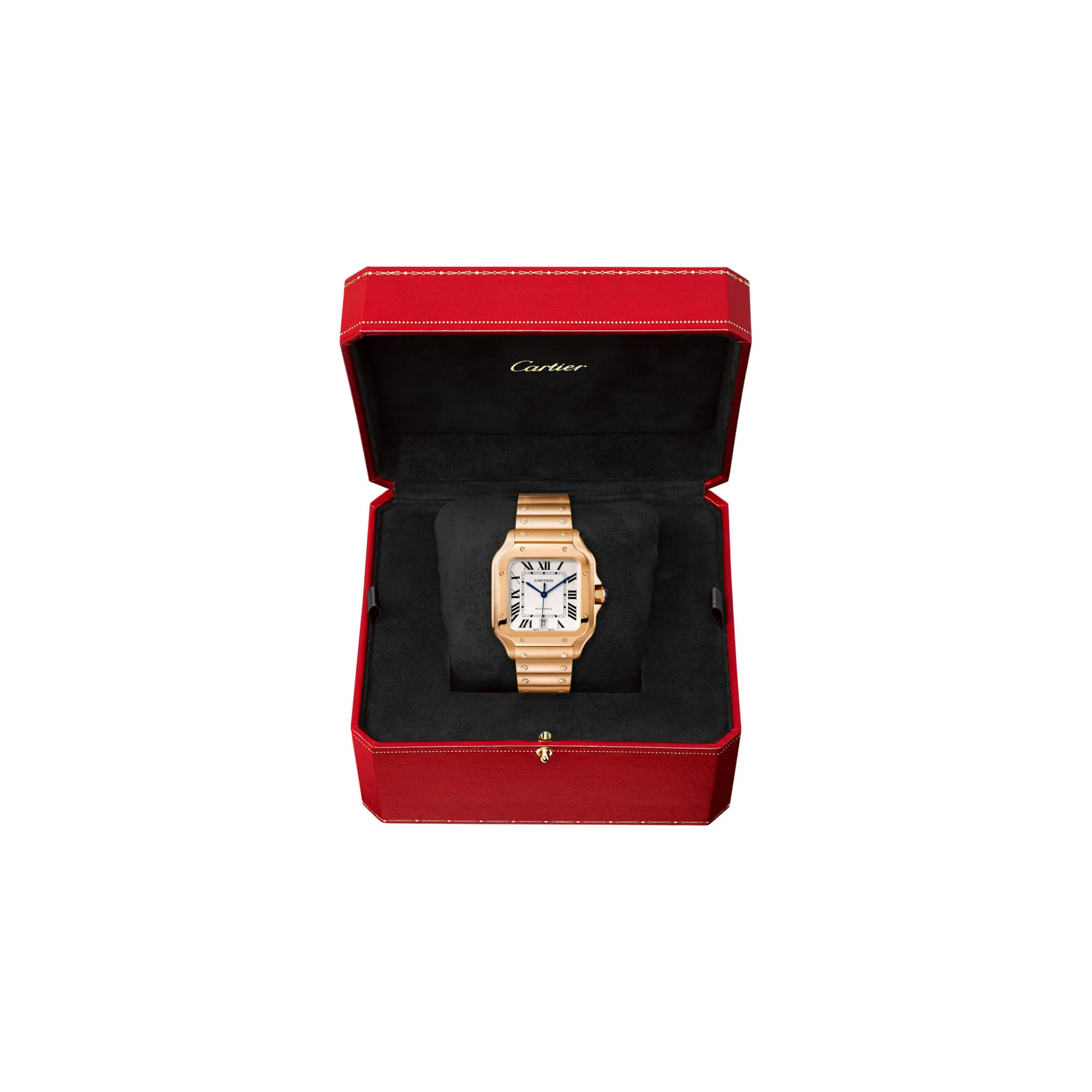 malalan-cartier-santos-de-cartier-watch-WGSA0018-3