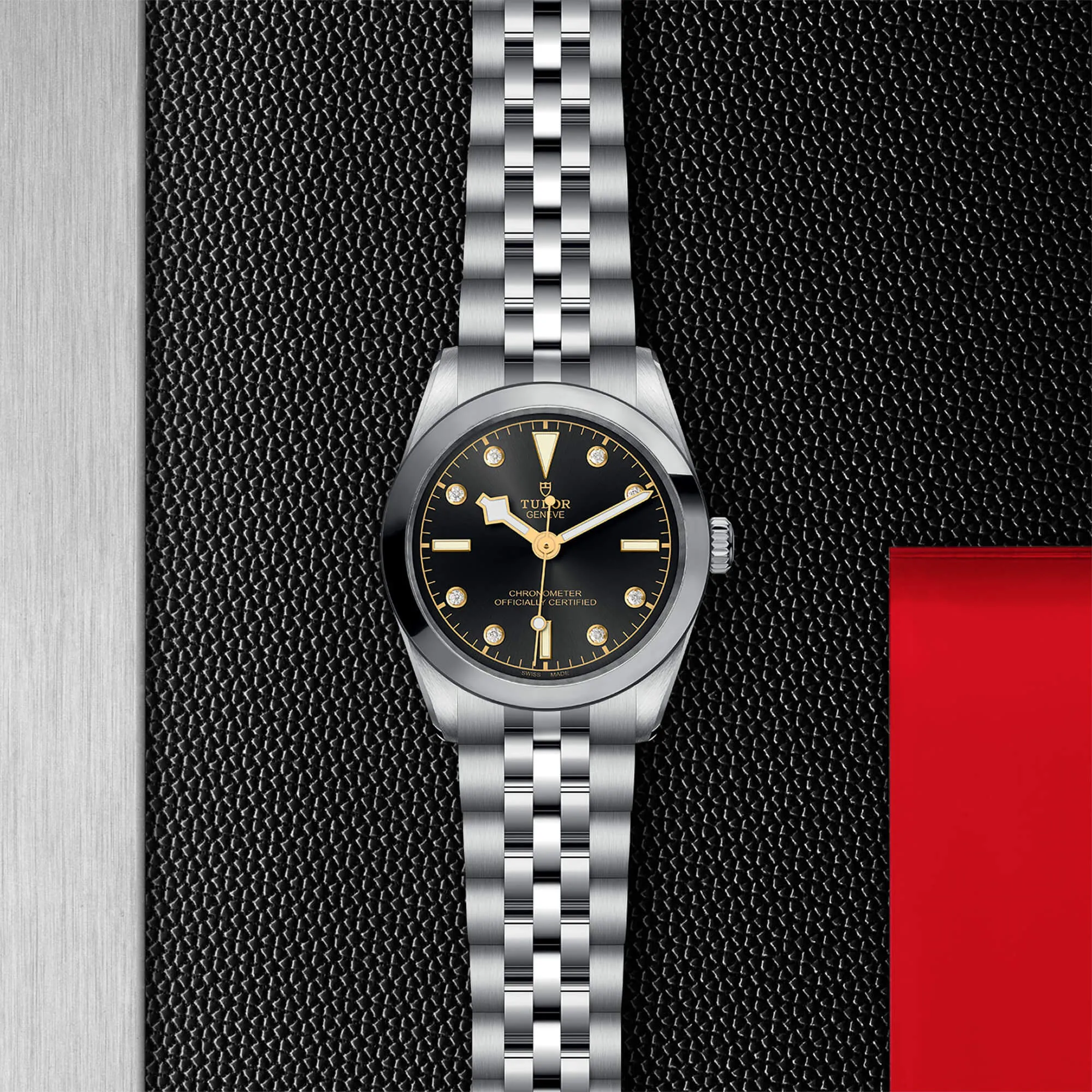 malalan-tudor-black-bay-31-watch-M79600-0004-IMG3