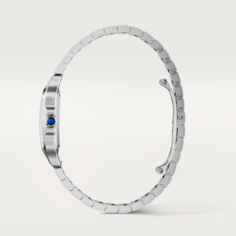 malalan_cartier_CRWSSA0082_5