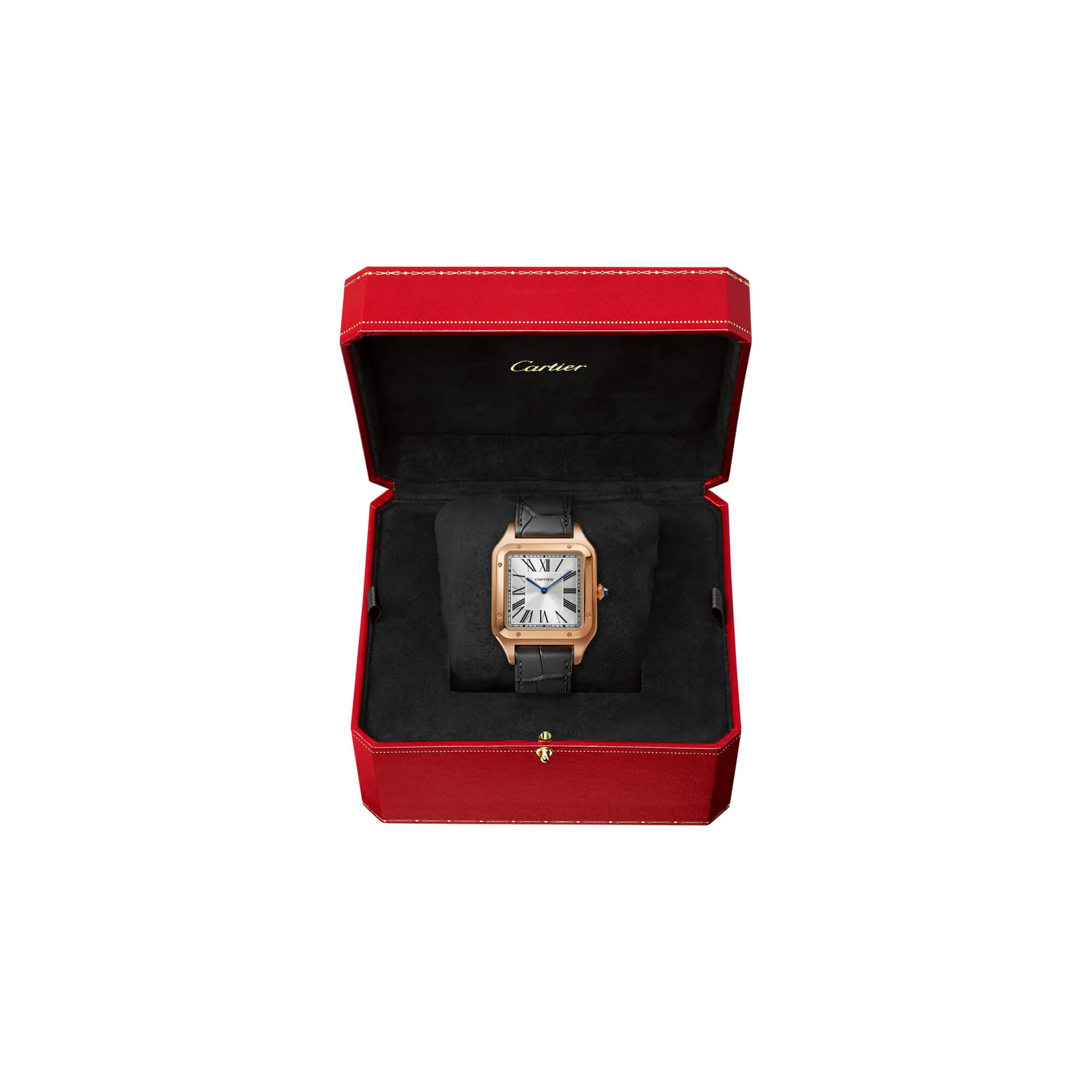 malalan-cartier-santos-dumont-watch-WGSA0032-2