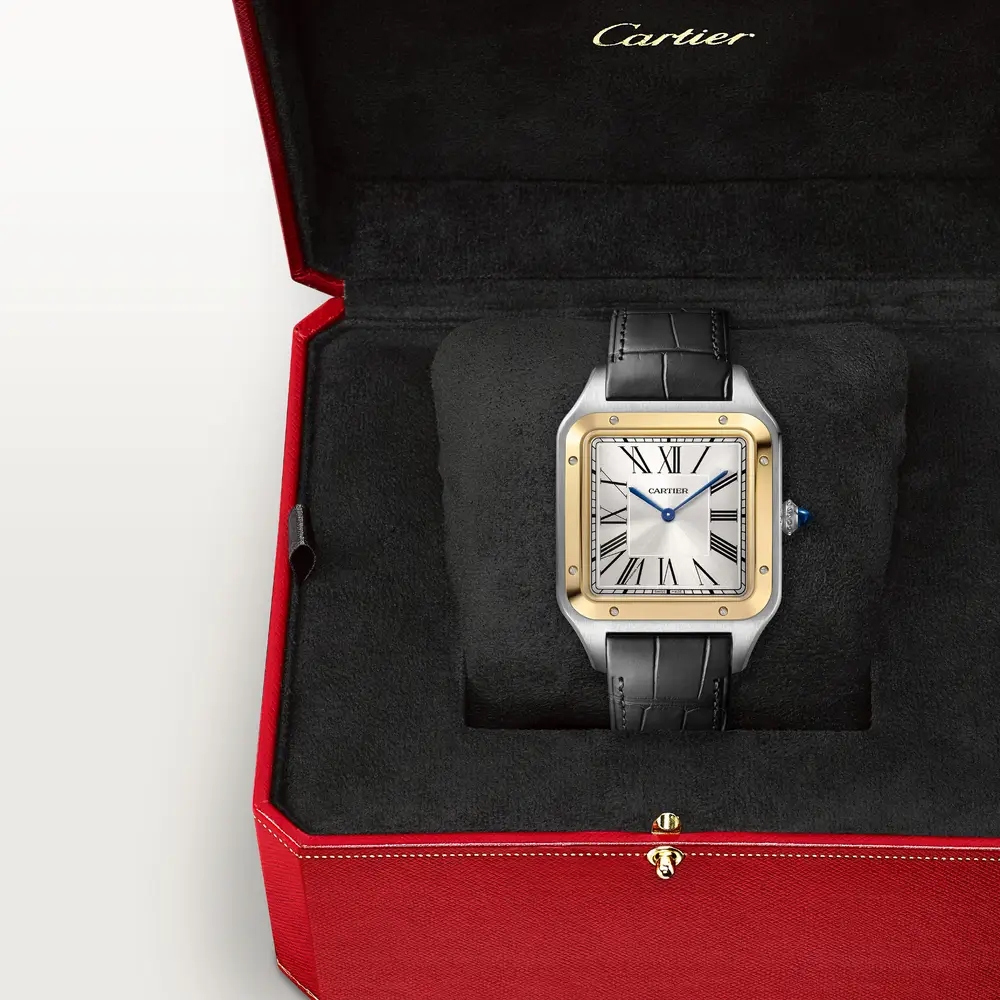 malalan_cartier_CRW2SA0034_3
