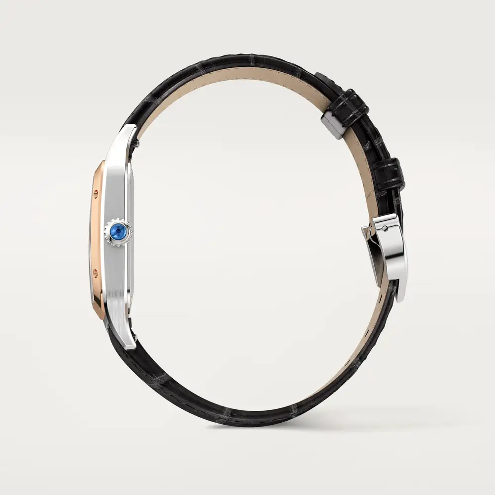 malalan_cartier_CRW2SA0038_3