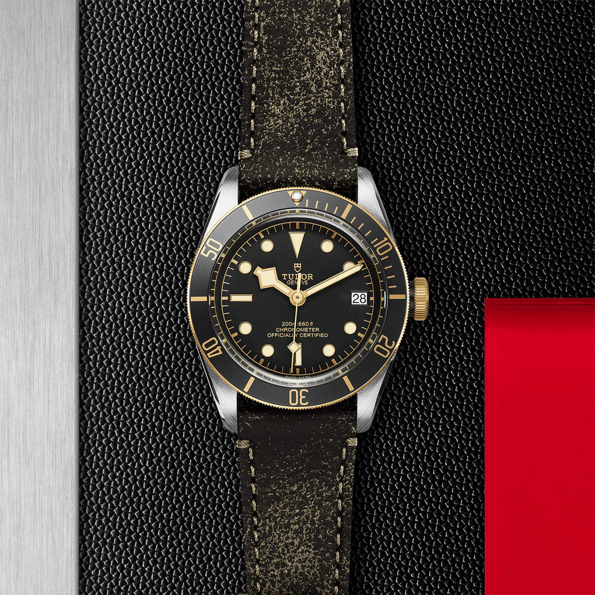 malalan-tudor-black-bay-s-g-watch-M79733N-0007-IMG2