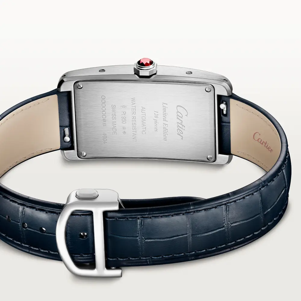 malalan_cartier_CRWGTA0367_2