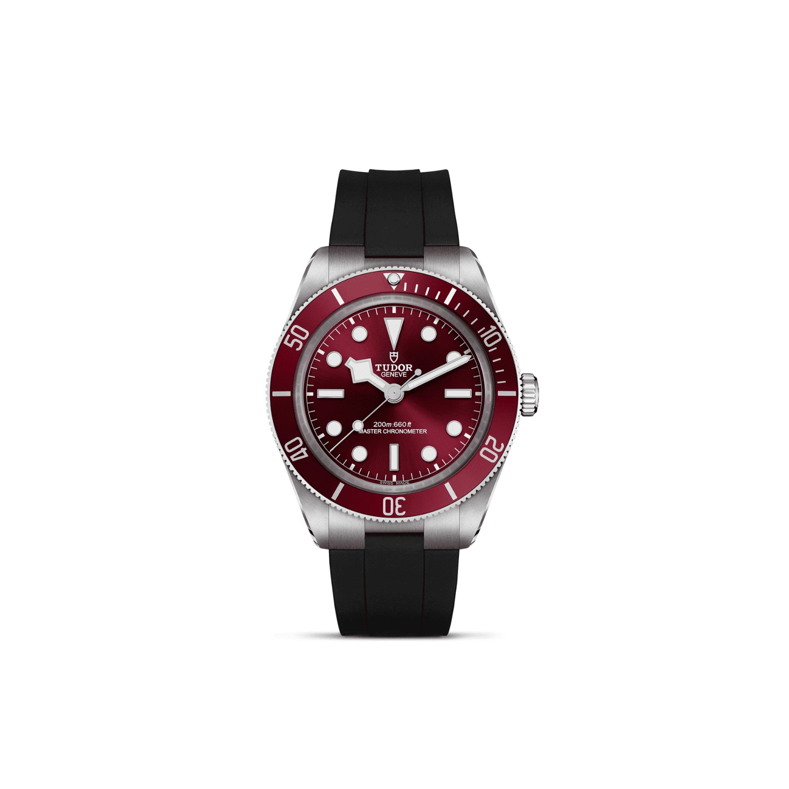 malalan_tudor_m7939a1a0ru-0003_img1