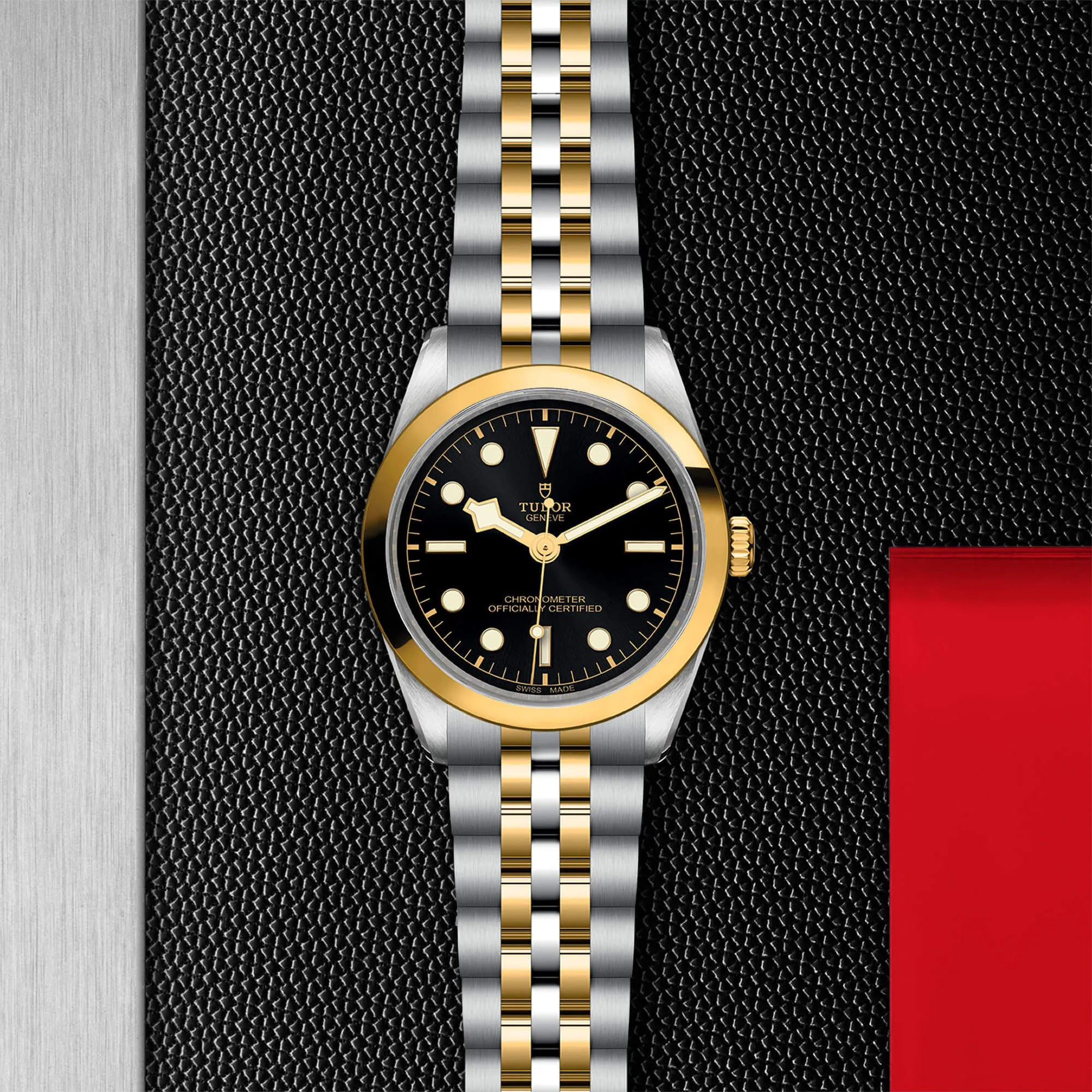 malalan-tudor-black-bay-36-sg-watch-m79643-0001-IMG2