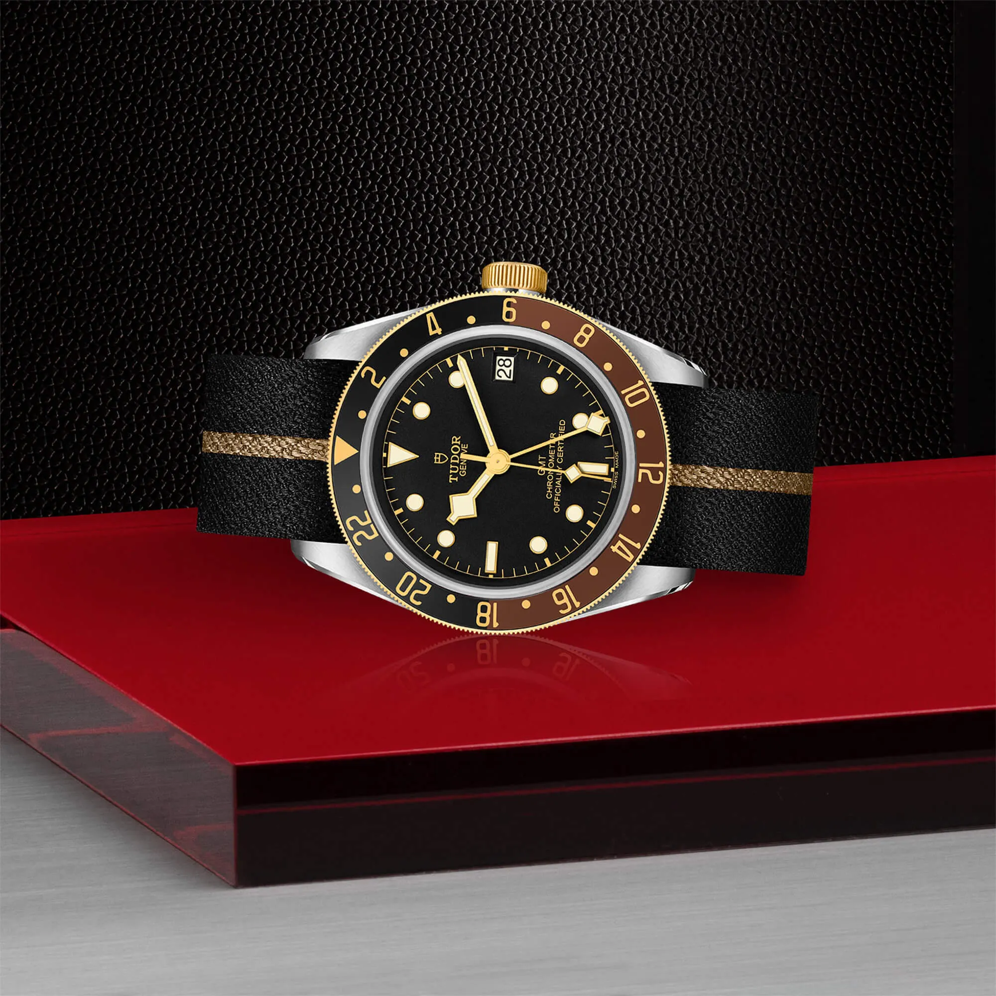 malalan-tudor-black-bay-gmt-sg-watch-m79833mn-0004-IMG3