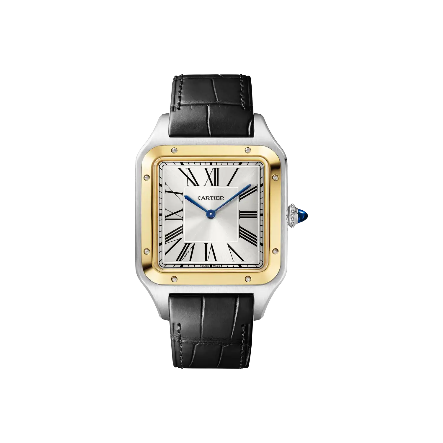 malalan_cartier_CRW2SA0034_0