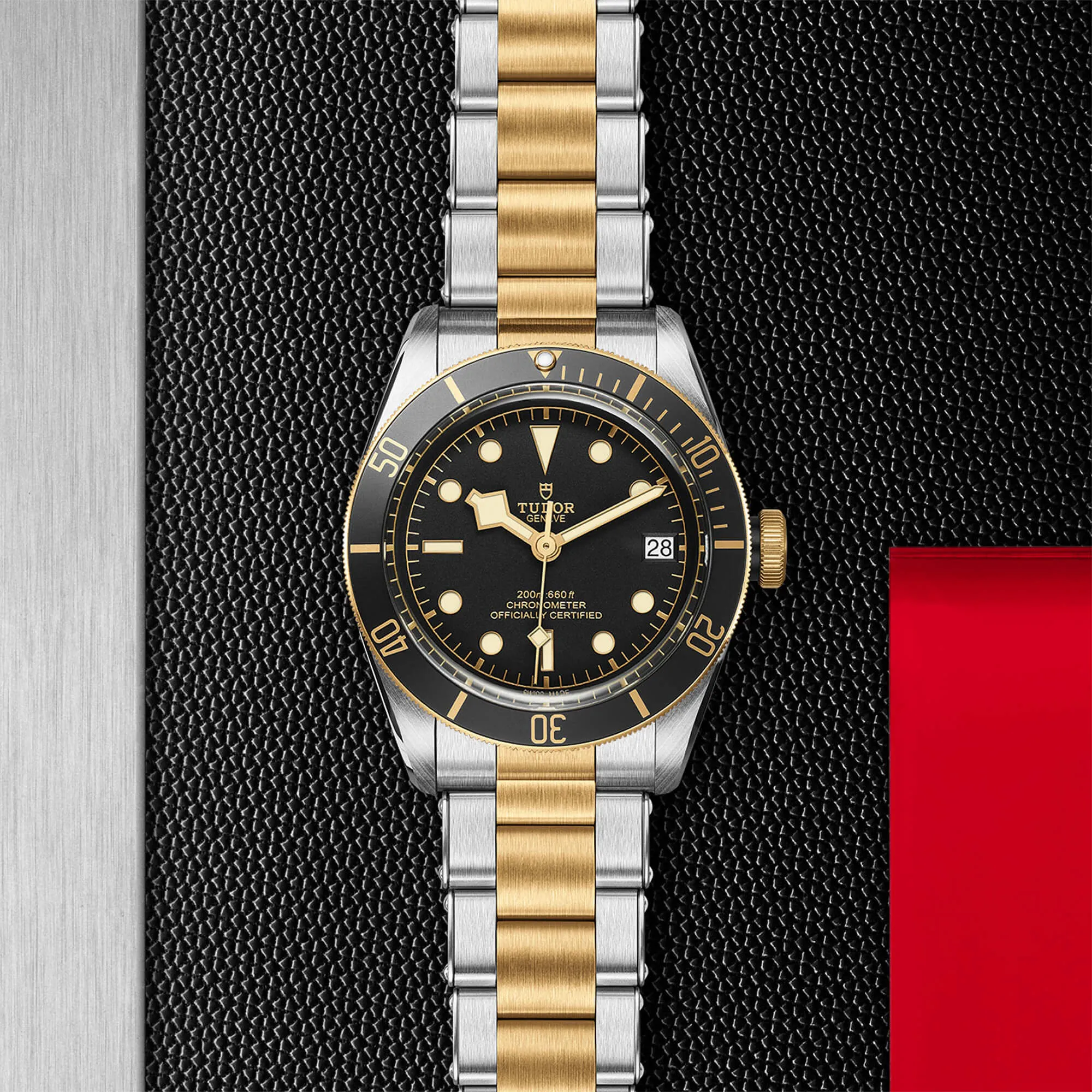 malalan-tudor-black-bay-s-g-watch-M79733N-0008-IMG2