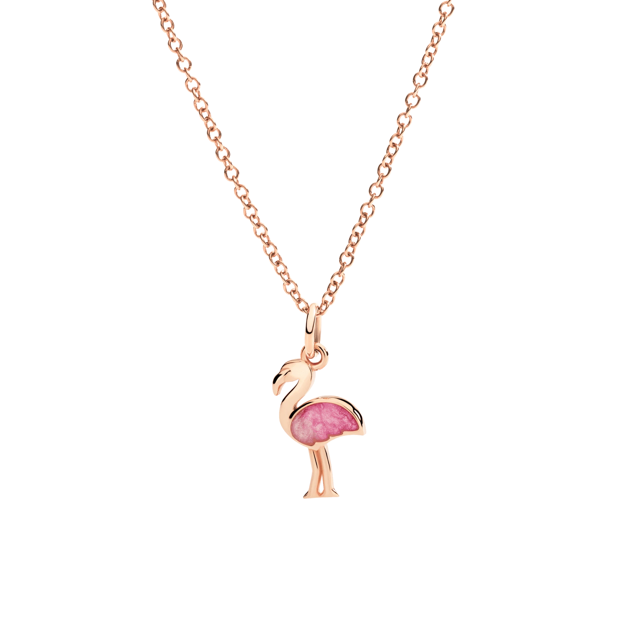 MALALAN_DODO_DMC5012_PHENI_ERS9R_20