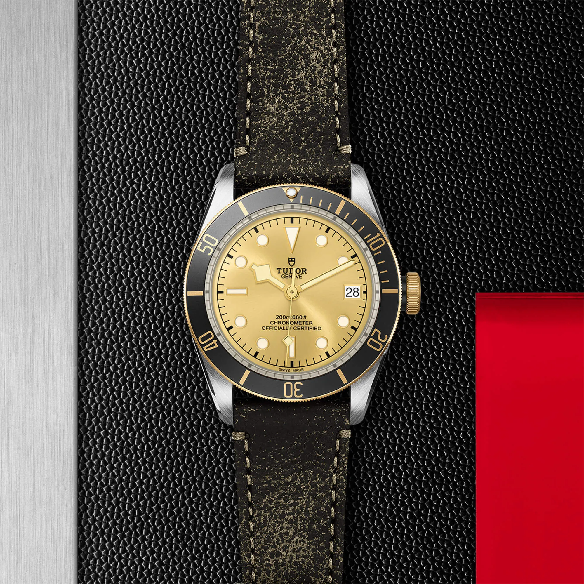 malalan-tudor-black-bay-s-g-watch-M79733N-0003-IMG2