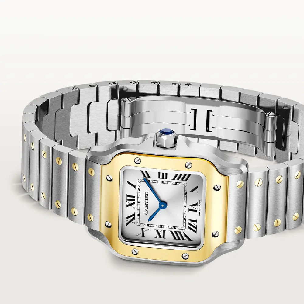 malalan_cartier_CRW2SA0033_6