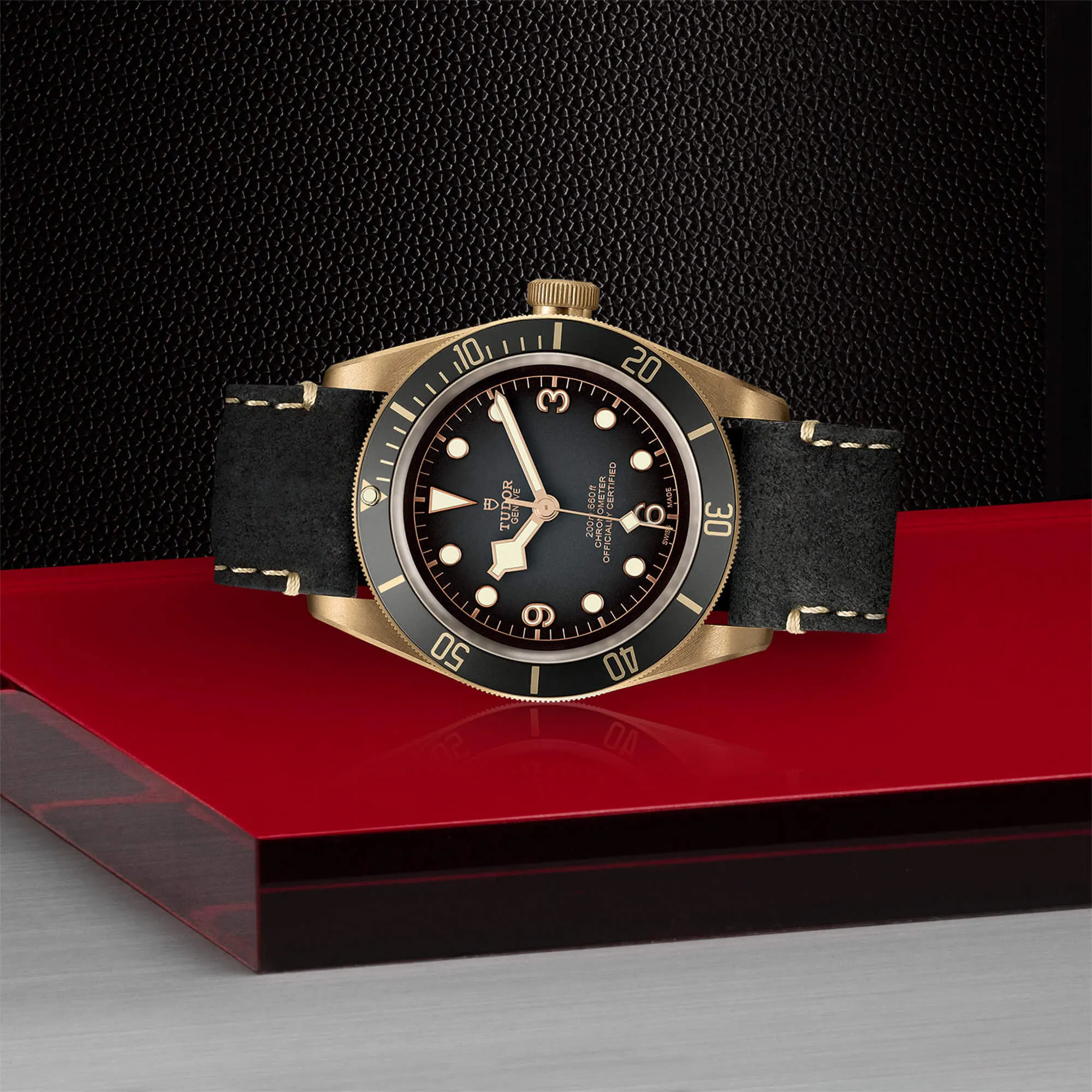 malalan-tudor-black-bay-bronze-watch-M79250BA-0001-IMG3