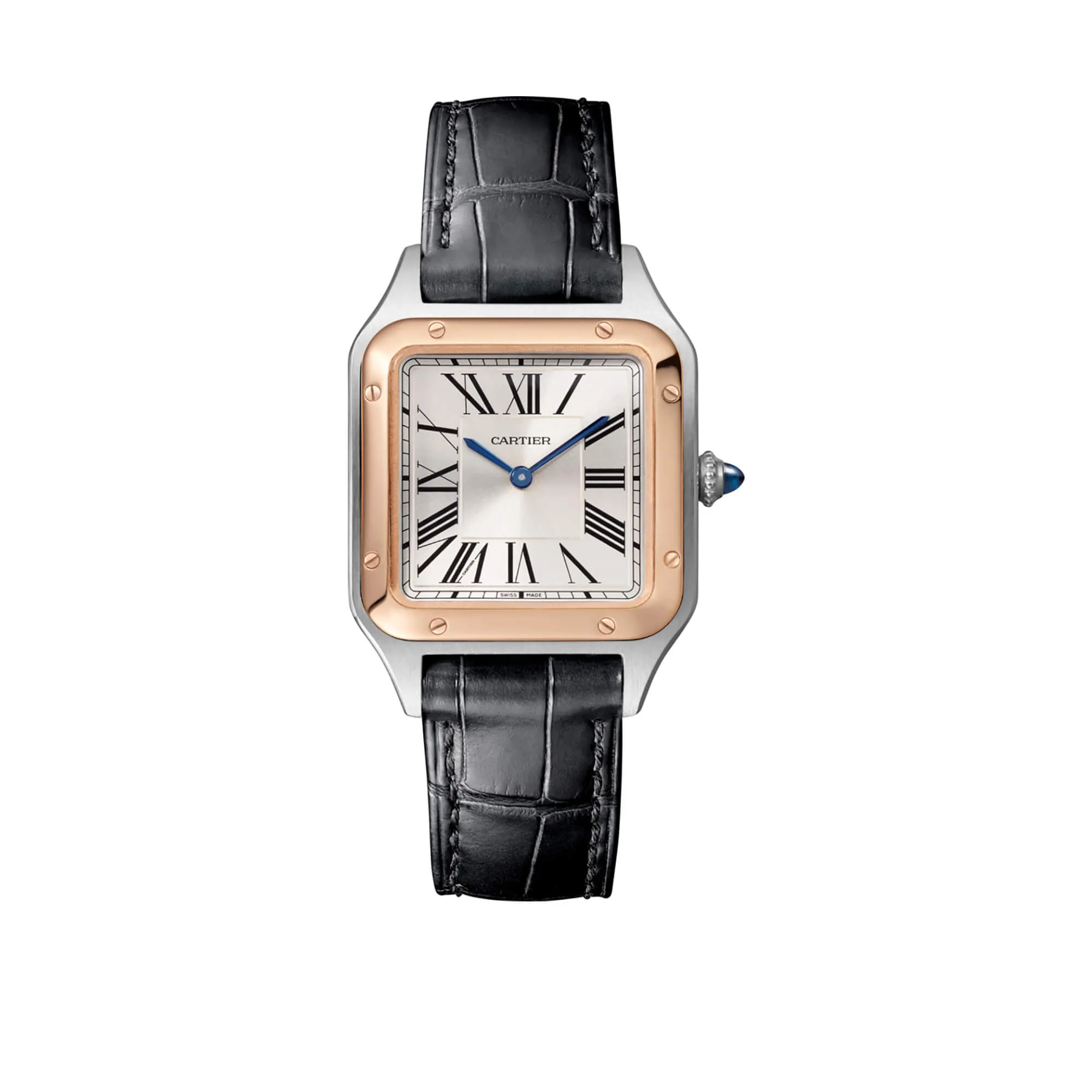 malalan-cartier-santos-dumont-watch-W2SA0012-1