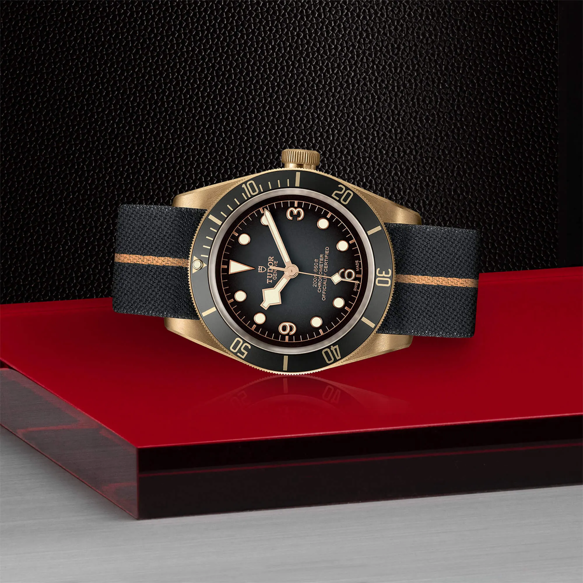 malalan-tudor-black-bay-bronze-watch-M79250BA-0002-IMG3