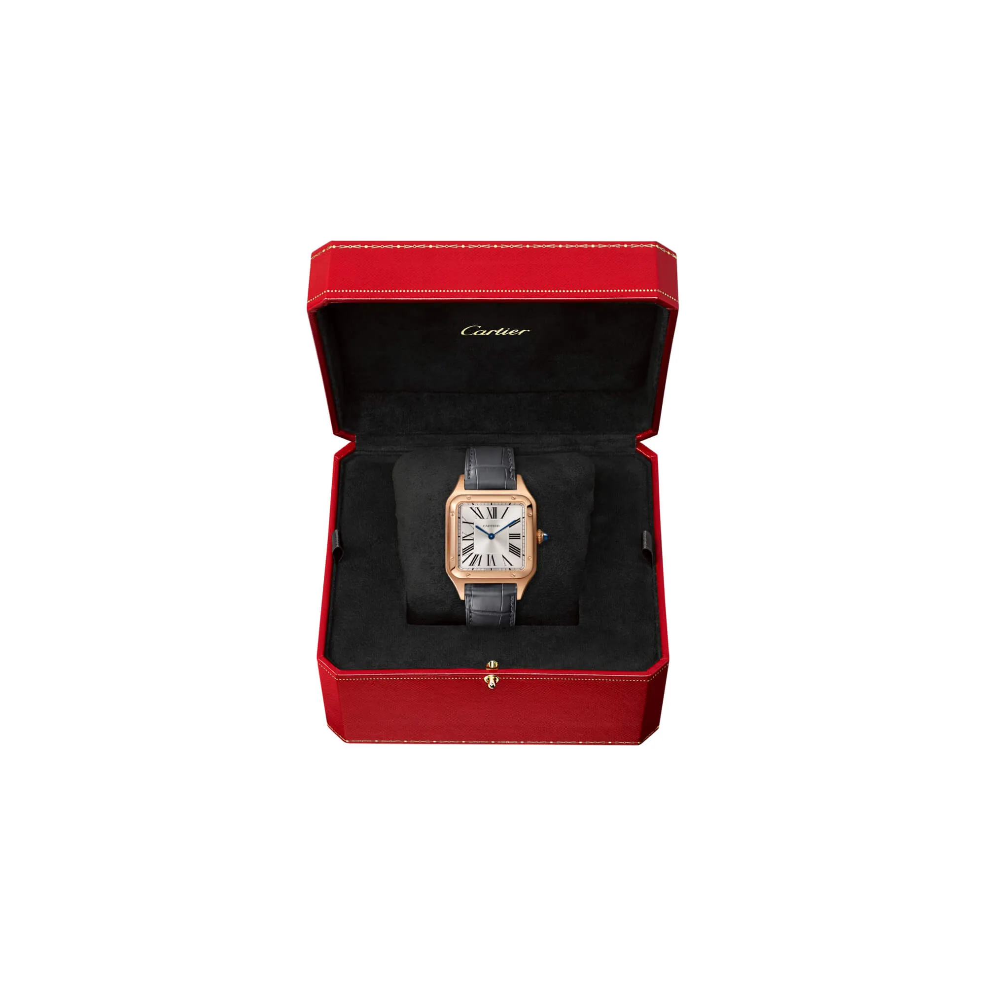 malalan-cartier-santos-dumont-watch-WGSA0021-2