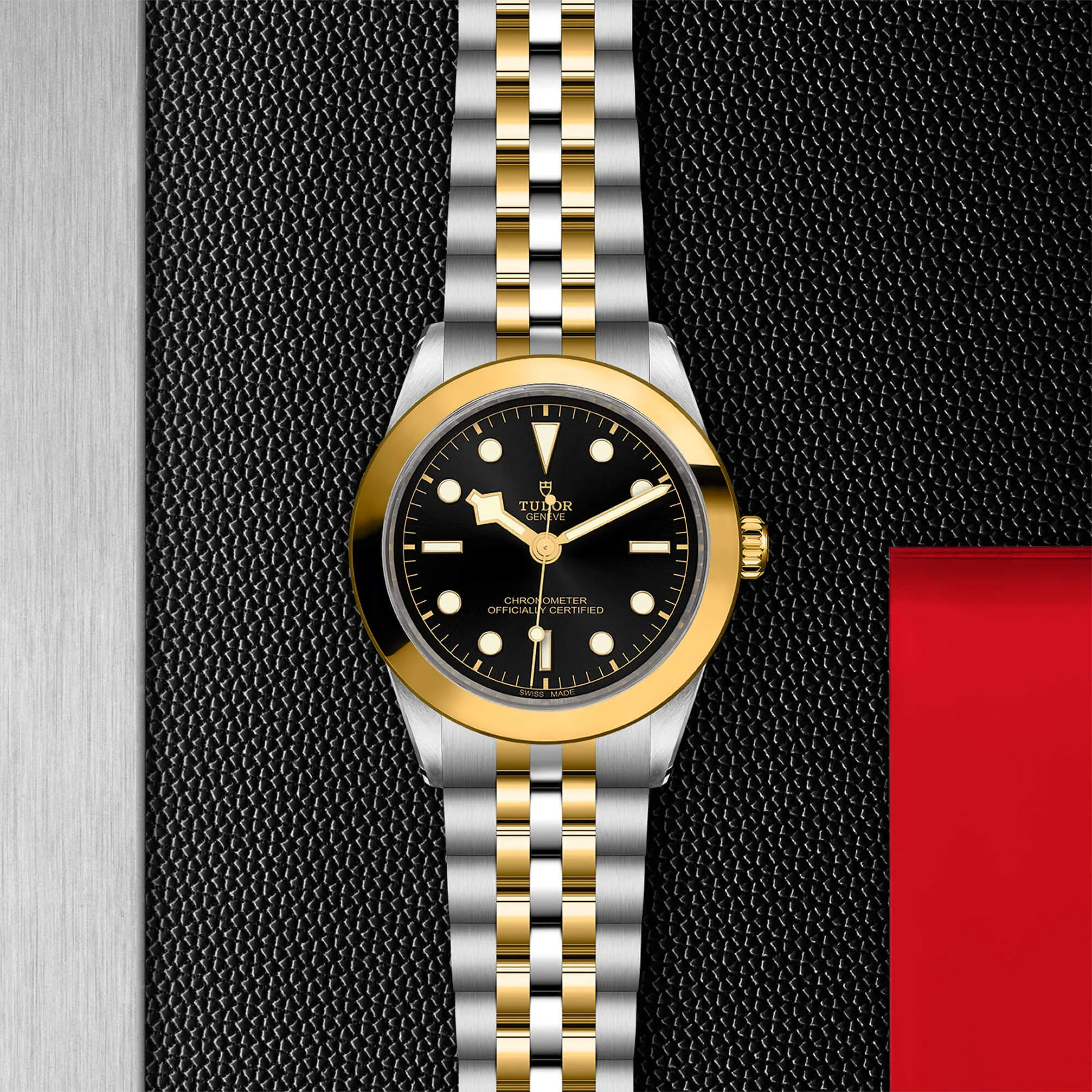 malalan-tudor-black-bay-39-sg-watch-m79663-0001-IMG2