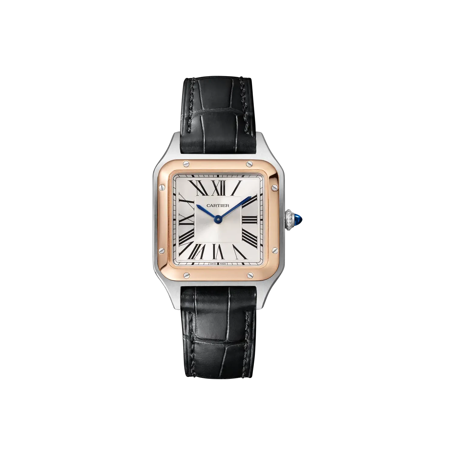 malalan_cartier_CRW2SA0038_0