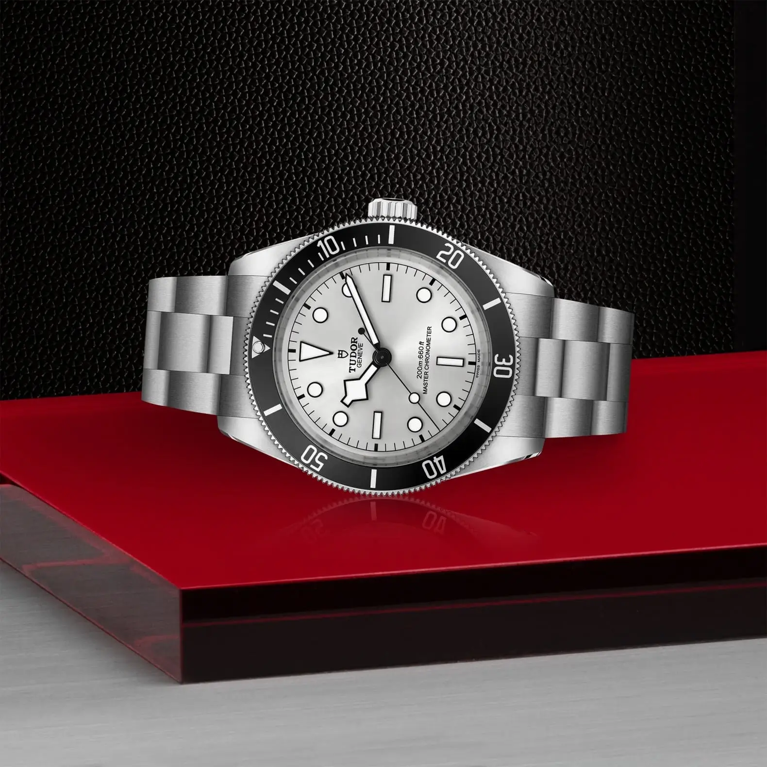 malalan_tudor_m7943a1a0nu-0002_img2