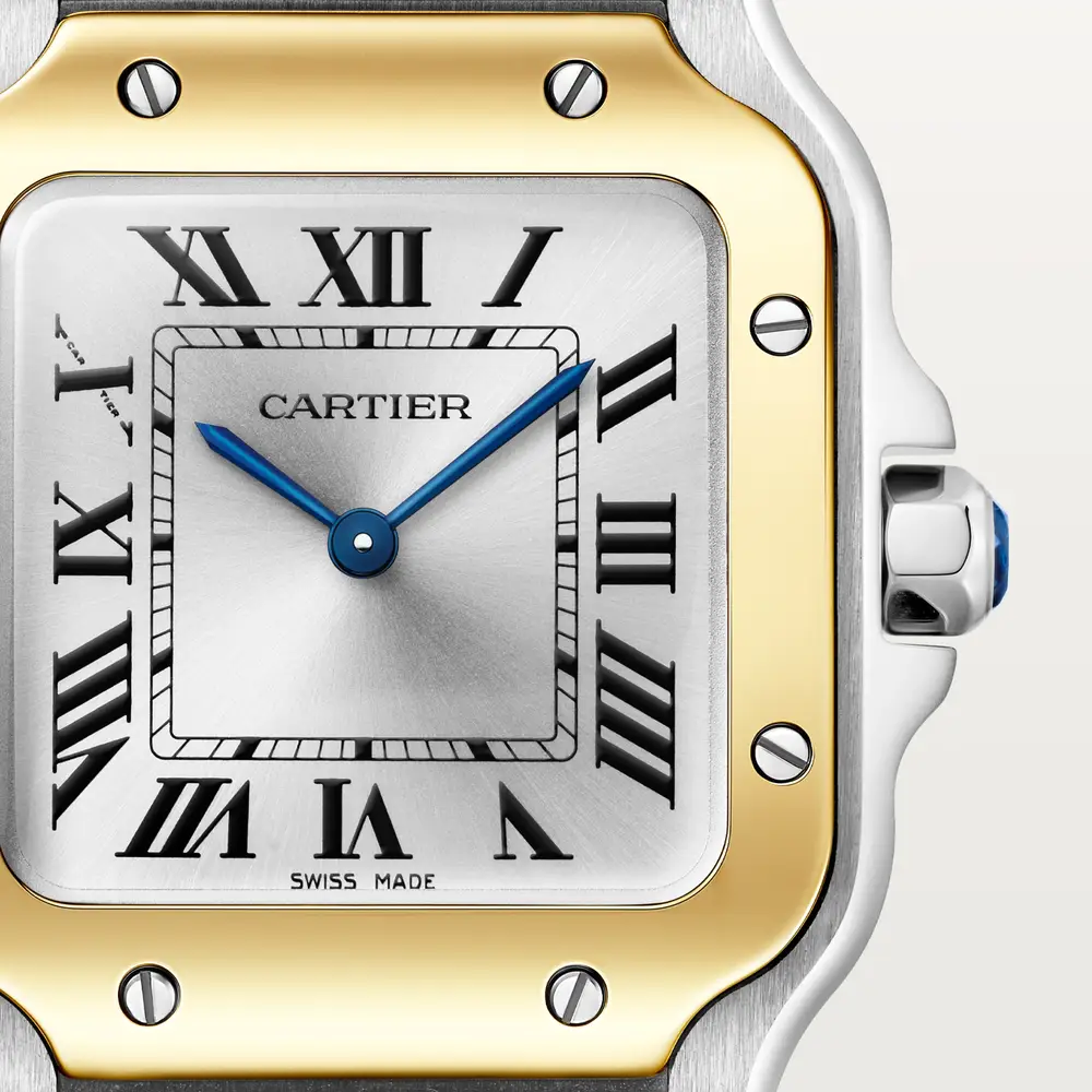 malalan_cartier_CRW2SA0033_7