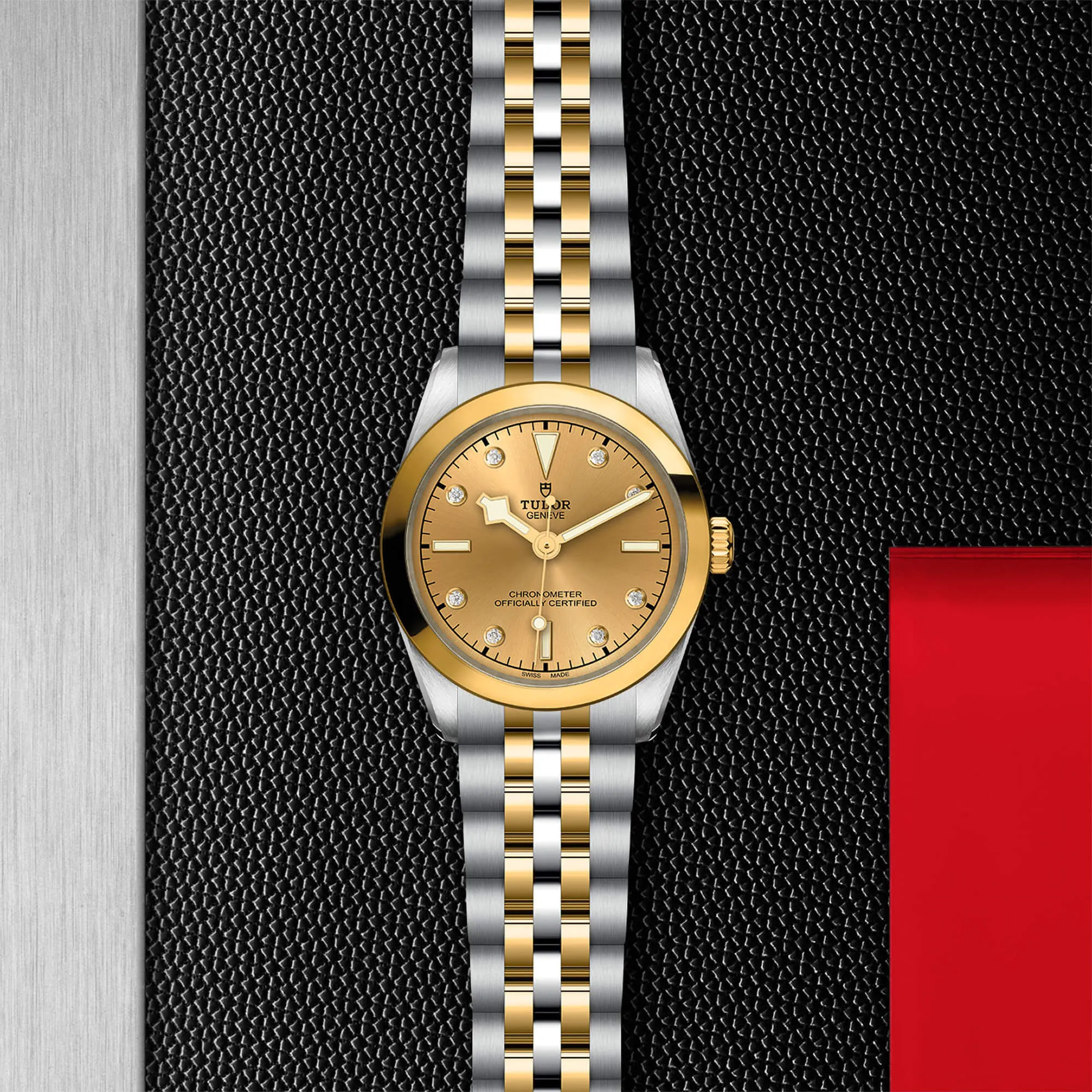 malalan-tudor-black-bay-31-sg-watch-M79603-0008-IMG3