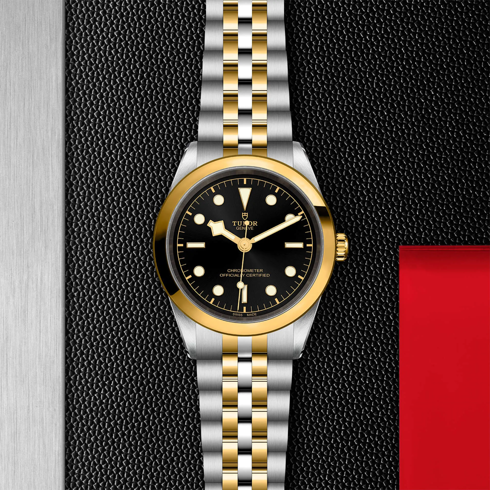 malalan-tudor-black-bay-41-sg-watch-m79683-0001-IMG2