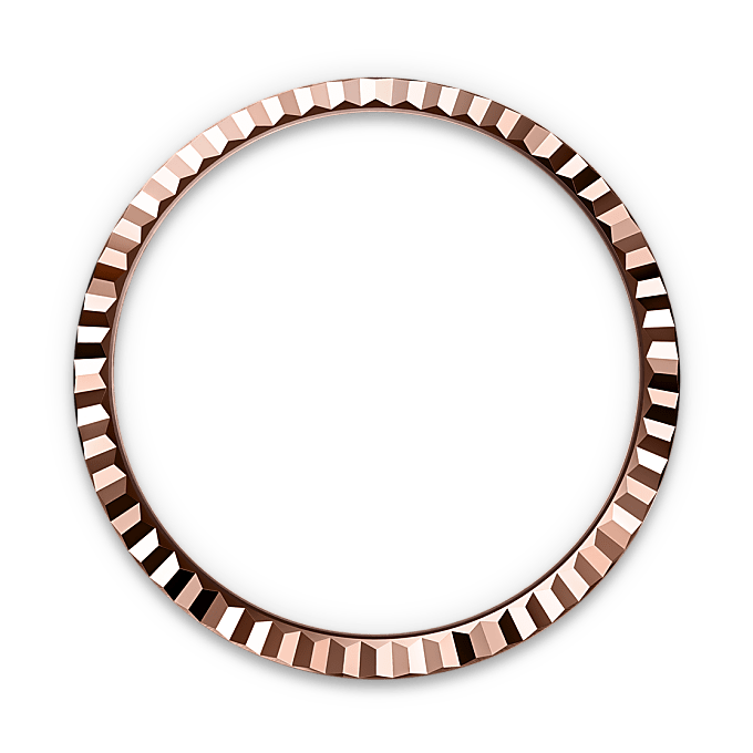 Rebrasti prsten kućišta