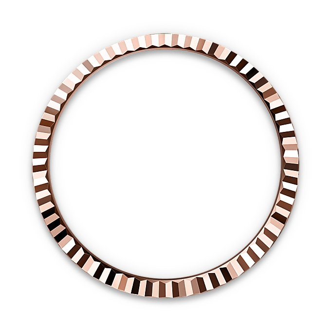 Rebrasti prsten kućišta