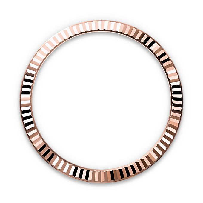 Rebrasti prsten kućišta